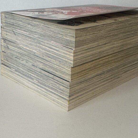 Manga Shaolin Sisters Complete Set English Tokyopop Vol 1-5 Hirano Kakinouchi - Picture 9 of 15